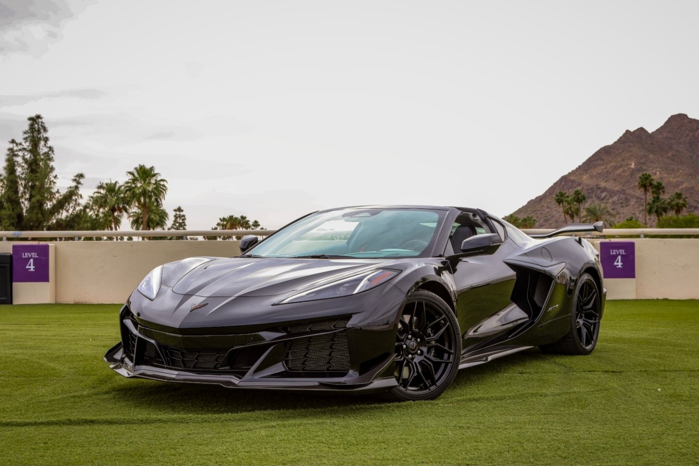 Corvette C8 Z06 (Black)