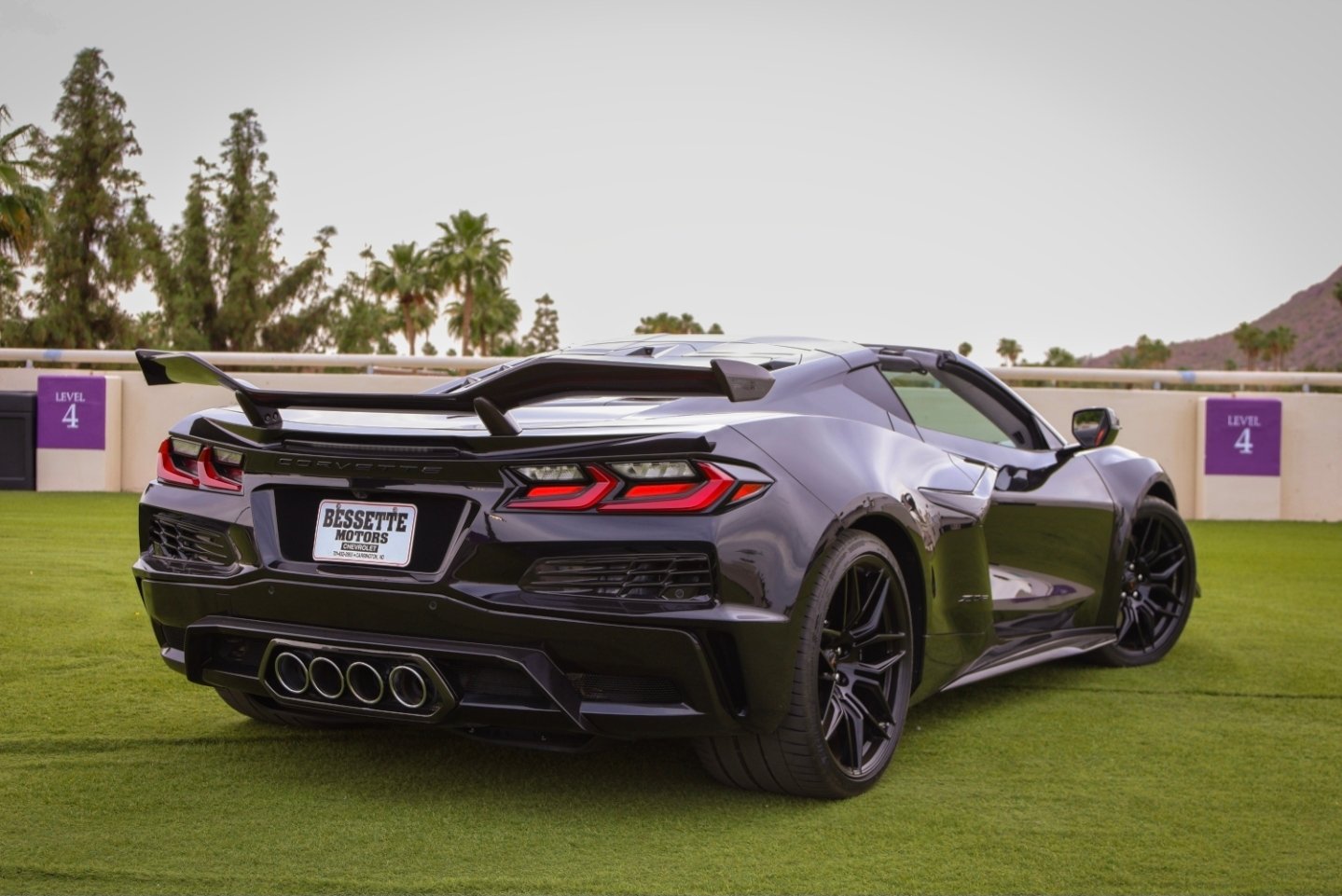 Corvette C8 Z06 (Black)