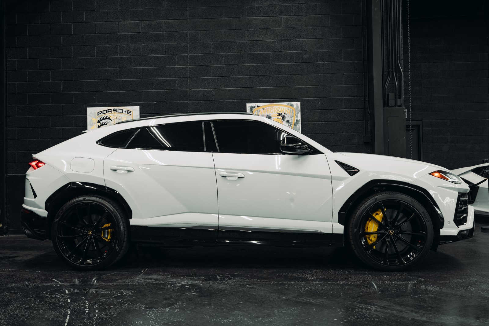 Lamborghini Urus (White)